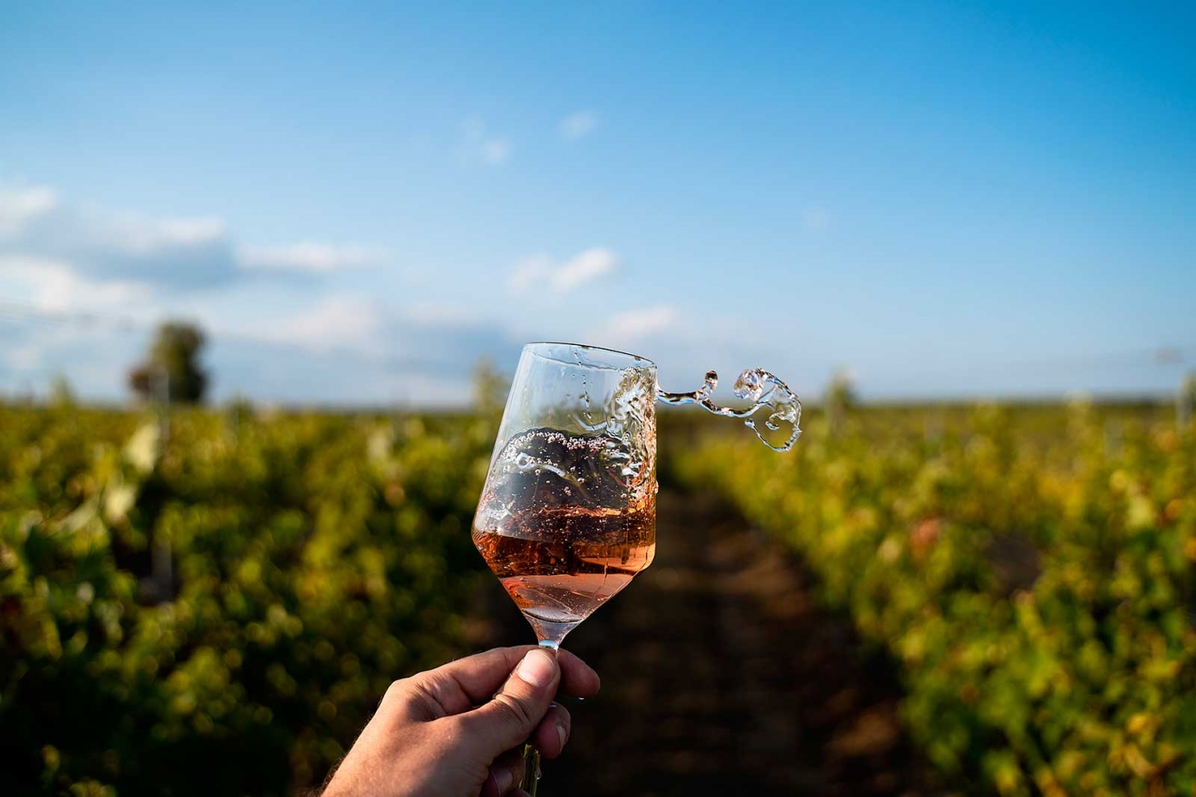 hand-holding-a-glass-of-rose-wine-in-front-of-vine-BCRB6XV